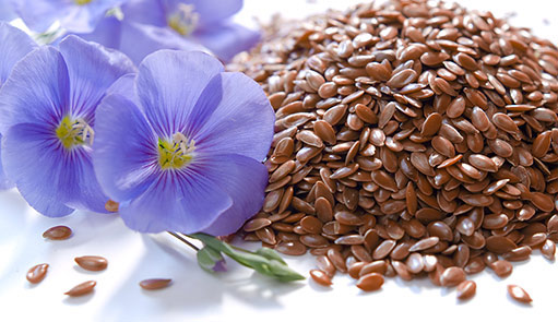 Flax seeds - seed plant seed is export-oriented. and it works,  as a subsidiary of a group of companies operating in the agricultural market and having their agricultural area