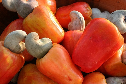 noix de cajou - fruits et légumes je cherche des clients qui vont acheter des noix de cajou au senegal! disponible jusqu'a 1000 tonnes!