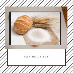 FARINE DE BLE 100% BON PRIX - céréales notre farine de blé de haute qualité repondra sans nulle doute á vos attentes .passer votre commnade pour un dévis satisfaisant.