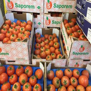 Exportation des tomates  - fruits et légumes nous exportons des tomates de bonne qualité du calibre 2 et 3 , nous avons expédié nos tomates vers les marchés de l’angleterre, l'u.e,  les émirats arabes , le sénégal ,  nos produits sont d'une meilleure qualité , pour toute information contactez n