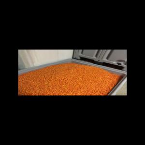 Sell organic IQF frozen Seabucktorn  - fruits and vegetables  three varieties,  orange energy(habego),  askola,  we have all analyses ,  brix. 