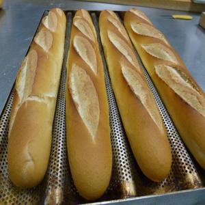 RECHERCHONS DISTRIBUTEURS POUR NOS FARINES - céréales minoterie allemande cherche distributeurs  ----bonjour, ----notre groupe est un de plus grand groupe meunier allemand,  leader dans sa profession.--notre gamme des produits contient toutes les farines boulangères pour baguettes,  pains de mie et beaucoup d’autres produits de haute qualité