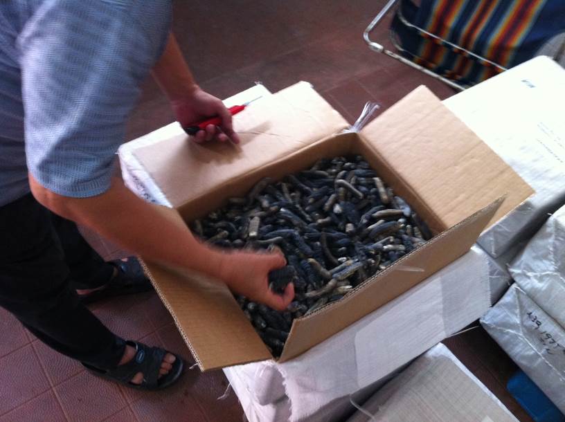 Concumbre de mer (Sea cucumber) , holothurie - coquillage crustacé vente de concombres de mer --nous cherchons des clients sérieux intéresses pour l'achat de concombres de mer,  le produit peux etre fourni frais et nettoyer, congelé et nettoyer, séché et suivant la demande du client., --produit avec garantie. en gros--.pour tous  autr