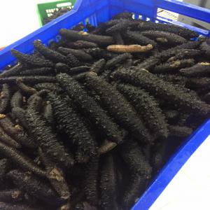 Sea cucumber - fish we have best quality scabra,  (sandfish),   holothuria polli and tubulosa ,  white teat and stone fish .  ----big3-7 pcs,  medium 8-12pcs ,  small  and %25 big size,  %25 small size %50 medium size----just contact us thanks 