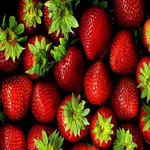 export fraises - fruits et légumes nous disposons d'une haute gamme de variété de fraises , nous exportons partout dans le monde.----pour mieux vous servir précisez quelle quantité désirez-vous pour formuler une meilleure offre.