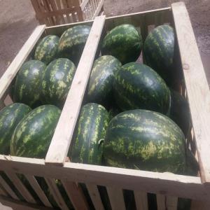 Watermelon and cantaloupe - fruits et légumes we have high quality of watermelon and cantaloupe, we can supply you how much you want.--best quality and satisfaction guaranteed .----do not hesitate to ask for more details.