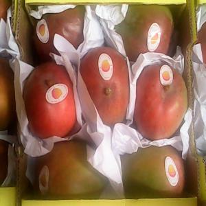 PROPOSITION DE MARCHE - fruits et légumes nous proposons la mangue fraîche et/ou séchée de côte d'ivoire traitée dans les meilleures conditions.--toute personne intéressée peut nous contacter au 0022548113399 ou au 0022541959503