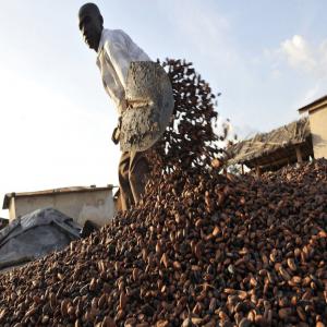 Vente de cacao et de café - café cacao thé annonceur de côte d'ivoire--recherche d’acheteur ou partenaire (café cacao thé) | 26/04/2017 |----achetez des grains ou de la poudre de cacao et café cerise,   deviens plus facile. je suis intéressée à vendre mon stock de produit,  la plus grande quantit