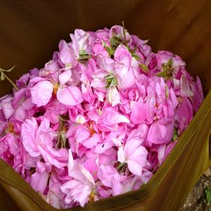 L’eau de rose  100% Bio - matiere vegetale nous sommes une entreprise marocaine exportatrice de l’eau de rose  d'origine vallée des rose kalaa mgouna (maroc) 100% bio,  nous exportons en vrac ou conditionné en bouteille,  notre produit est certifié ecocert et onssa,  de très bonne qualité,  sans  additifs et av