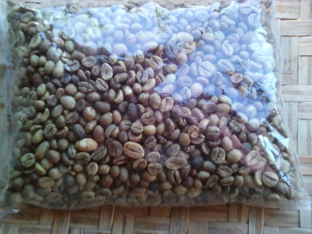 green  coffee bean  - coffee cocoa tea --madagascar green  coffee bean --moisture content - 14 % max --screen size- 16 18 mesh --packing -  60 kg jute bag--loading  port - tamatave; vohemar  port  madagascar