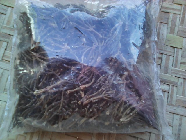 Clove  stems - aromatic spices clove stems ----packaging  details-60 kg per bag ----port of loading- tamatave port  madagascar--contact details -mr ziz--harvested 2016 2017----