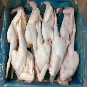  POULES CONGELEES - viandes et oeufs offres de poules congelées en cartons de 10kg - origine europe - poids des poules- de 900grs-1400grs (8/9/10 poules par carton)--- merci de nous contacter nous pour les prix.--