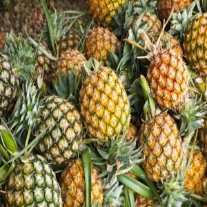 Ananas frais  - fruits et légumes nous sommes le leader des fournisseurs d'ananas frais avec les meilleurs prix du bénin. nous pouvons fournir une grande quantité,  autant que vous avez besoin. contactez-nous pour toute question.-- --nom du produit- ananas frais--origine- république du bénin--catégo