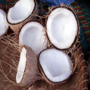 Vente d'huiles coco vierge et huile coco raffinée - huiles  vente d'huiles coco vierge et huile de coco raffinée --nous sommes une société de production d'huile de coco vierge et huile de coco raffinée  basée au bénin..nous sommes en mesure de vous fournir une quantité importante de la dite huile . nous reche