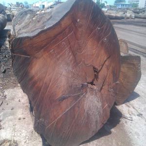 vend Sciage Bubinga Doussie Congotali - bois charbon fibre la longueur,  la largeur,  l’épaisseur et la qualité sont données par les acheteurs et autres précisions .nous faisons des plots reconstitués,  avivés,  grumes de tranchage et grumes de sciages.--nos quantités et qualités à la demande de l'a