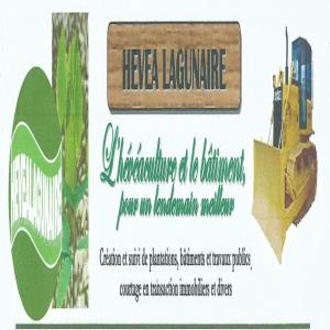 heveasûre - Industrie exploitation 1)  nous disposons de 600 ha de plantations avec titre foncier vers san pedro--dont ------ 400hectare  plantes--- 300 hectare  en production sur les 400ha et--- 100ha sera en production l'annee prochaine--et les 200hectare  qui reste sont encore non plantes.------2) nous disposons aussi de 13.5 dont