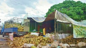 VENTE DE NOIX DE COCO (Bon noix et Coprah) - conditionnement nous sommes un groupe de travailleurs dans le domaine de la vente de noix de coco.nous avons une quantité importante de noix de coco de tous types à vendre.--nous sommes à la recherche d'acheteurs sérieux et correctes .--notre situation géographique - afrique en c&