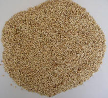 SESAME BLANC D'ORIGINE BURKINA FASO - semence graine plant en collaboration avec plusieurs fournisseurs et coopératives burkinabés,  nous mettons à votre disposition d'importantes quantités de sésame (blanc et bigarré). nous sommes prets à vous faire parvenir un échantillon (sésame blanc en image