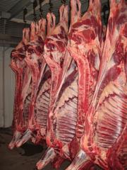 Viande boeuf, U/R/O/280+/ Pologne (UE) / Hallal - viandes et oeufs direct abattoir en pologne,  proposons viande (u/r/o,  280+),  hallal ou pas,  fraîche ou congelée (vache,  genisse et taureau) par carcasse (toute découpe possible mais il faut acheter par quart avant/arrière)--races- holstein,  limousine mais aussi,  charolaise,  et angus.--carc