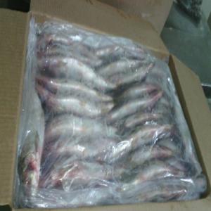 STOCK DE POISSON SARDINELLE, CHINCHARD, MAQUEREAU - poissons nous disposons un stock de poissons prets a embarquements----1- sardinelle ronde 20 - 22 cm ----prix = 425 fcfa le kg  fob dakar.1- sardinelle ronde 22 - 25 cm ----prix = 450 le kg  fob dakar----stock = 110 tons----2 chinchard 20 et 25 cm----prix = 775 fcfa le kg fob dakar----stock = 60 tons----3 ma