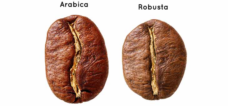 Café arabica et robusta - café cacao thé nous sommes une entreprise agro-alimentaire basée au cameroun et nous avons en stock  250tonnes de café soit---    --café arabica 125tonnes(cultivé sur les hautes terres de l'ouest et du nord-ouest)--    --café robusta 125tonnes(cultivé sur les terres du gra