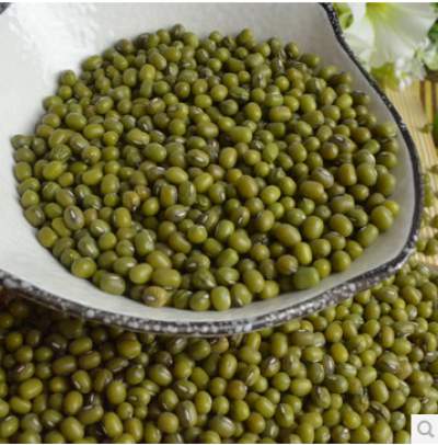 GREEN MUNG BEANS   - seed plant seed we deal in high quality of nutritional mung beans which offers a great taste and immunity. this is one of the most used and eaten cereals. the mung beans that we offer are free from impurities.----we always make sure to provide clients with organically cultivated products. high on nutritional conten