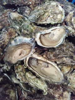 Huîtres Cap Ferret - coquillage crustacé ostreiculteur de père en fils sur le bassin d'arcachon,  je vends  des huîtres de très belle qualité du cap ferret. élevage traditionnel et produit --naturel et haut de gamme. expédition possible en bourriches. 