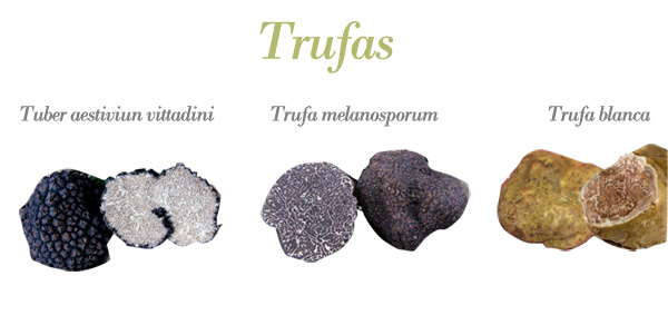 Truffles from Romania - aromatic spices we have capacity to deliver up to 100 kg of truffles per day. quality and price depending on the season of the year,  and the family of truffle available. also on the size selection.