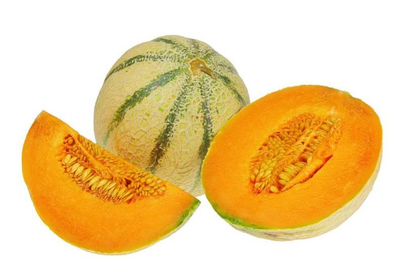 Charentais Melon - fruits and vegetables in order to prepare for the next agricultural season in morocco,  our products are going to be available starting from january 2018. you can design the packaging and get it ready from here. if you are interested don't hesitate to contact us. 