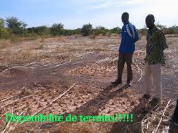 BF: Terrains riches pour (élevage,agriculture,..) - autres bonjour chers membres espaceagro. heureux d'etre parmi vous!--je propose des terrains riches et bien placés pour mener des activités d'élevage (bovins,  caprins,  volaille, ..),  d'agriculture (legumes,  ceréales,  autres) ou d'implantation d'usines nécéssitant un