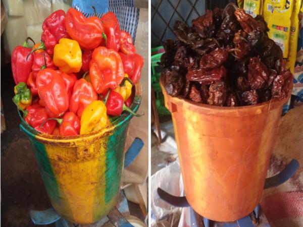 ventes du piment - fruits et légumes nous sommes  ( societe agro alimentaire ) situee au cameroun et nous faisons dans les ventes et achats des produits agro alimentaire .nous sommes disponible et ouvert a vous .