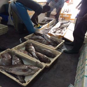 Poisson frais et filets import senegal - poissons nous sommes une entreprise familiale d'import et d'export de poissons frais et de filets implanter au senegal . nous sommes dans le milieux depuis plus de 20 ans,  nous exportons en espagne (tenerife) et en ce moment nous serions intéresser pour l'export en france. je voudrais ouvrir une soci&