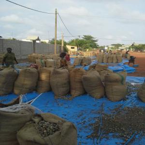 Noix d'acajou du Benin - fruits et légumes bonjour ,  --nous vendons des noix de cajou brute du benin avec les caracteristiques suivantes - --produit - noix de cajou brute --quantite - 18 tonnes --origine - benin --nut count - 180 /kg --out turn - 48 lbs --merci de nous contacter pour plus details --cordialement 