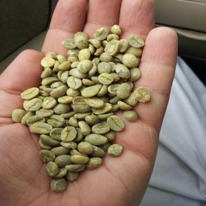 Yemeni coffee  - coffee cocoa tea yemeni green coffee beans -- our stock is from last year and the new season will begin in november 2017----our coffee is dried by sun----yemeni coffee first grad (a) size 14-16 mm----yemeni coffee second grad (b)  size 12-14 mm----yemeni coffee third grad (c)  size 10-12 mm and contains a quantity o