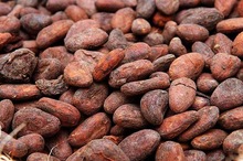 RECHERCHE URGENTE D'UN FOURNISSEUR DE CACAO - café cacao thé nous sollicitons urgemment auprès d'un fournisseur agrée en cote d'ivoire,  un contrat de livraison de fèves de cacao sur 5 années renouvelables origine cote d'ivoire à partir de la prochaine campagne 2017 d'une quantité compris entre 10.000 - 100.000 mt par 