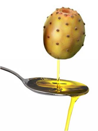 Moroccan Natural Pure Prickly Pear Seed Oil - olis we supply prickly pear (barbary fig) seed oil and anti ageing beauty products containing this oil (serums,  creams - for anti ageing). ----our products are 100% organic and certified for eu export and use.