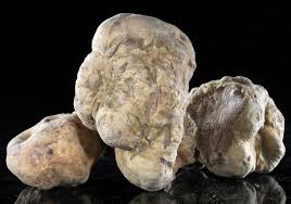 truffe algérienne très bonne qualité   - champignon levure salut je suis un grossiste de truffe algérienne je met en vente la récolte de truffe avant le mois de novembre pour préparé la commende avant donc je tien a vous informer que je peux fournir mes client suivant la commande (qualité ,  couleur , calibre ,  brossé