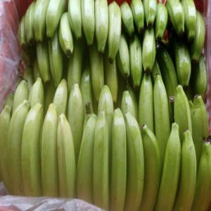 Bananes Cawendish et Ananas M2 du Mexique - fruits et légumes nous commercialisons des bananes et ananas du mexique de tres bonne qualite pour l'europe et l'afrique!