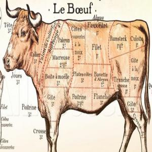 Viande de Boeufs - viandes et oeufs fournisseur de viandes de très bonnes qualités avec des prix imbattables. recherches clients sérieux , je suis en mesure de fournir jusqu'à 24 tonnes le mois 