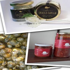 Alive snails, Canned snails, Snail Caviar - retains the oldest snail company in production snails in greece,  can supply with alive snails,  canned snails,  and snail caviar. our quality is excellent,  and the prices very logical.