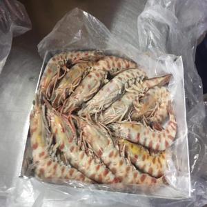 cherche des clients poisson frais et congelé - poissons nous sommes une societe tunisienne d exportation et de commercialisation --de poissons frais (sauvage et eleve) de bonne qualite et poisson congelé d origine tunisien , mauritanie et nous recherchons des --clients fiables afin de tisser un partenariat solide et durable nous --exportons des pro