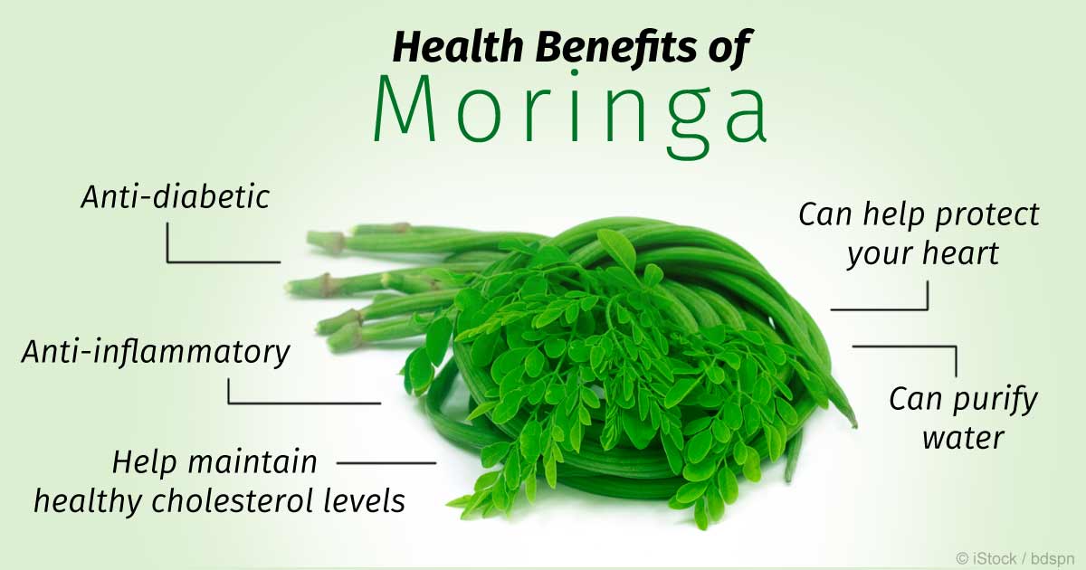 Moringa bio et gomme arabique a vendre - matiere vegetale nous sommes situés au niger ( afrique de l'ouest),  nous produisent du moringa et de la gomme arabique en grande quantité avec des installations modernes nous produisons dans les conditions d'hygiène les plus optimales. nous recherchons de potentiels clients ou partenaires afin d