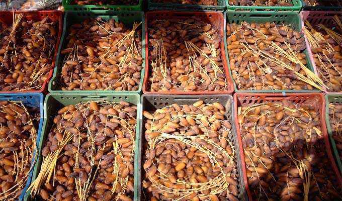 Exporter of Dates  - fruits and vegetables soon the launch of the harvest 2017/2018 of the tunisian dates.--for any need in tunisian dates,  call on our company.