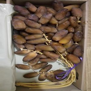 DATTES DEGLET NOUR TOLGA - fruits et légumes dattes algeriennes deglet nour recolte 2017. très beau produit. --etudions toutes propositions.----dates from algeria in the area of tolga.--dates are good for the heart,  and aphrodisiac--we study all propositions.--