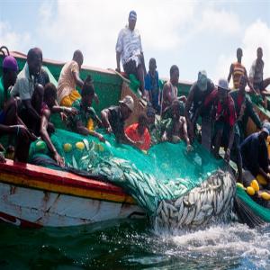 Partenariat fructueux, gagnant gagnant  - poissons nous sommes un groupe de jeunes travaillant dans la peche depuis 1997,  et cherchons à aggrandir notre marché dans le domaine des produits halieutiques,  du frais,  au salé seche ou fumé seché,  cherchons des partenaires serieux pres à travailler avec nous,  nous