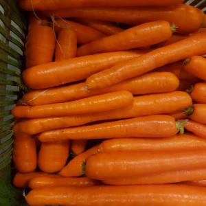 fournisseur de carottes - fruits et légumes nous cherchons des fournisseures de carrotes,  lavée,  calibré 20/35,  emballage en big bags.....nous avons besoin de une grande quantuitè,  environ 50 ton. chaque semaine