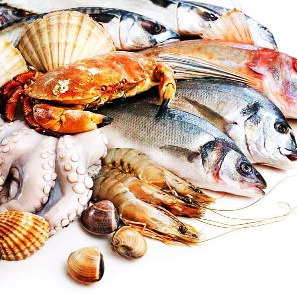 Seafood from Mauritania best quality fish product - fish looking for  buyers for long term business we will provide you the best quality and reasonable price.----we are one of the best exporters of seafood products of atlantic ocean from mauritania.--we export frozen seafood products from  mauritania like --squid,  bonito,  ribbon fish,  shrimps,  cuttlefish, 