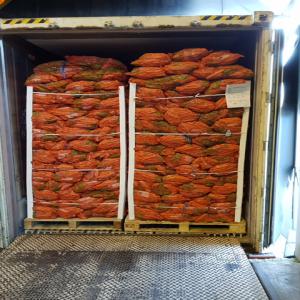 CAROTTES / OIGNONS / POMMES DE TERRE / POMMES  - fruits et légumes carottes,  oignons,  pommes de terre,  pommes disponible de la belgique,  meilleur qualite de l europe. prix tres favorable. chargement sur conteneur 40ft.  