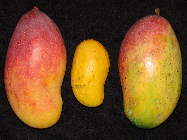 Exportation de fruits tropicaux  - fruits et légumes j'exporte des fruits tropicaux comme la mangue,  l'ananas et autres. merci de me contacter pour tout achat.