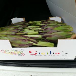 Artichauts de Sicile Saison 2019/2020 - fruits et légumes bonjour, --société d'importation dispose de grande quantité d'artichauts (opal,  petit violet, sambo,  tema,  madrigal,  sinfony,  apollo,  romanesco g1 et romanesco c3. variété selon calendrier...--n'hésitez pas à nous contacter !!!